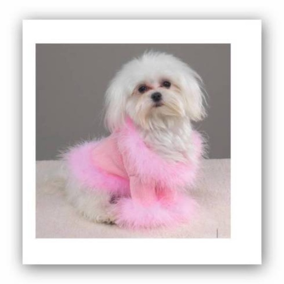 Fancy Pink dog jacket feathers rhinestones SMALL - Picture 4 of 4